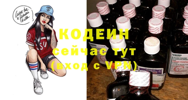 молекула духа Надым