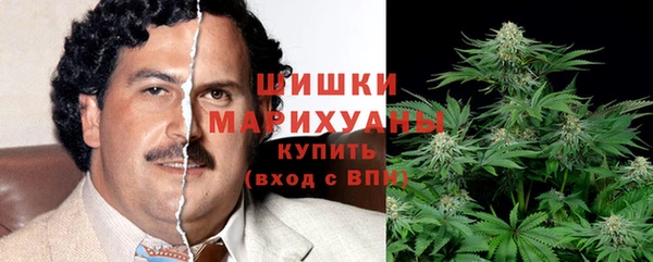 ПСИЛОЦИБИНОВЫЕ ГРИБЫ Апатиты