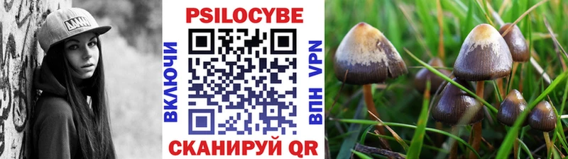 Галлюциногенные грибы Cubensis Черкесск