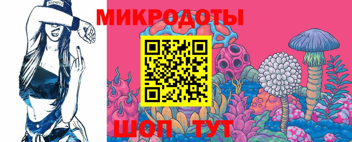 Псилоцибиновые грибы Psilocybine cubensis Черкесск